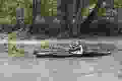 DSC07344