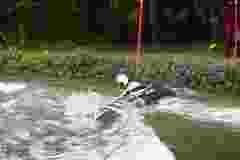 DSC07481
