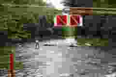 DSC07502