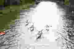 DSC07531