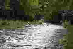 DSC07564