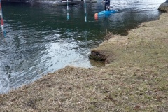 image12